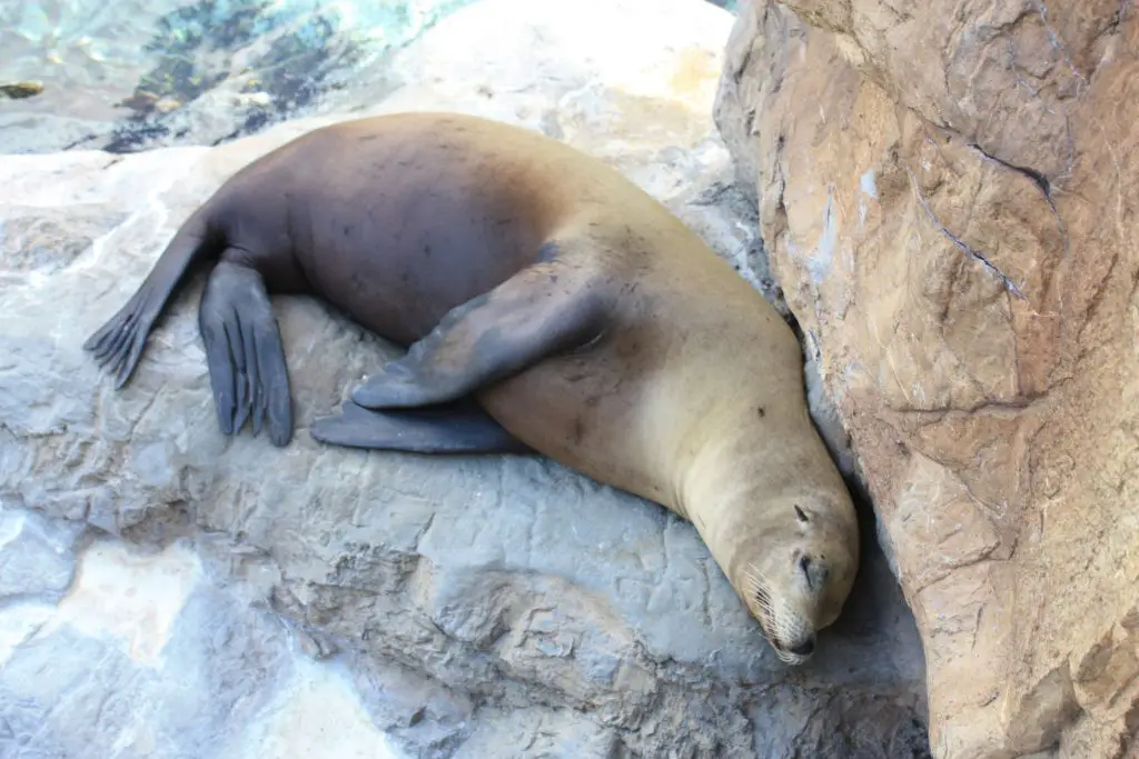 100503 Florida 2010 412