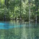 Florida: Unsere besten Tipps für Ocala und Umgebung