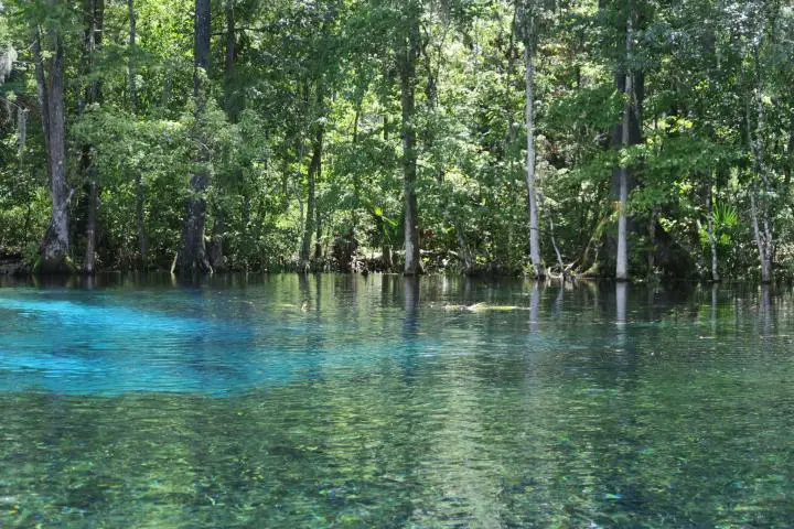 Silver Springs State Park