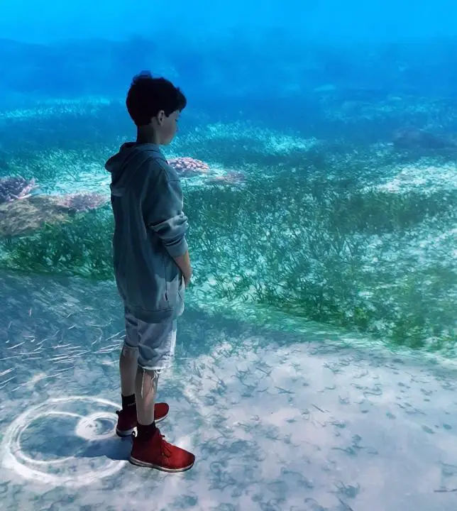 Junge spaziert auf dem Meeresgrund im National Geographic Encounter Ocean Odyssey