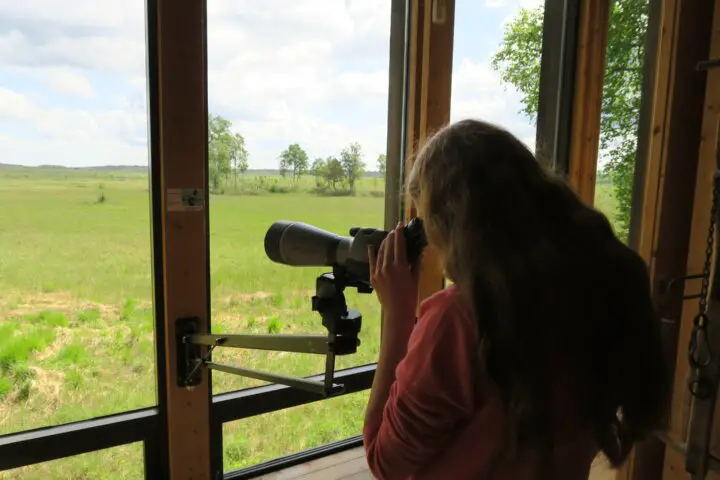 Store Mosse - Fernrohr im Naturum