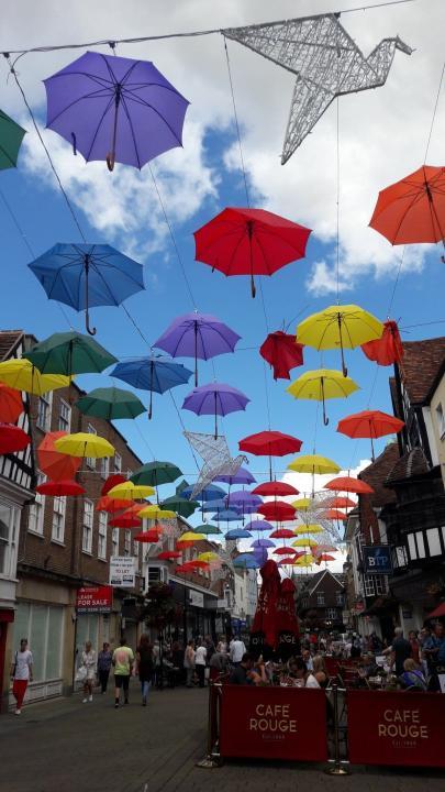 Straße mit Schirmen in Salisbury
