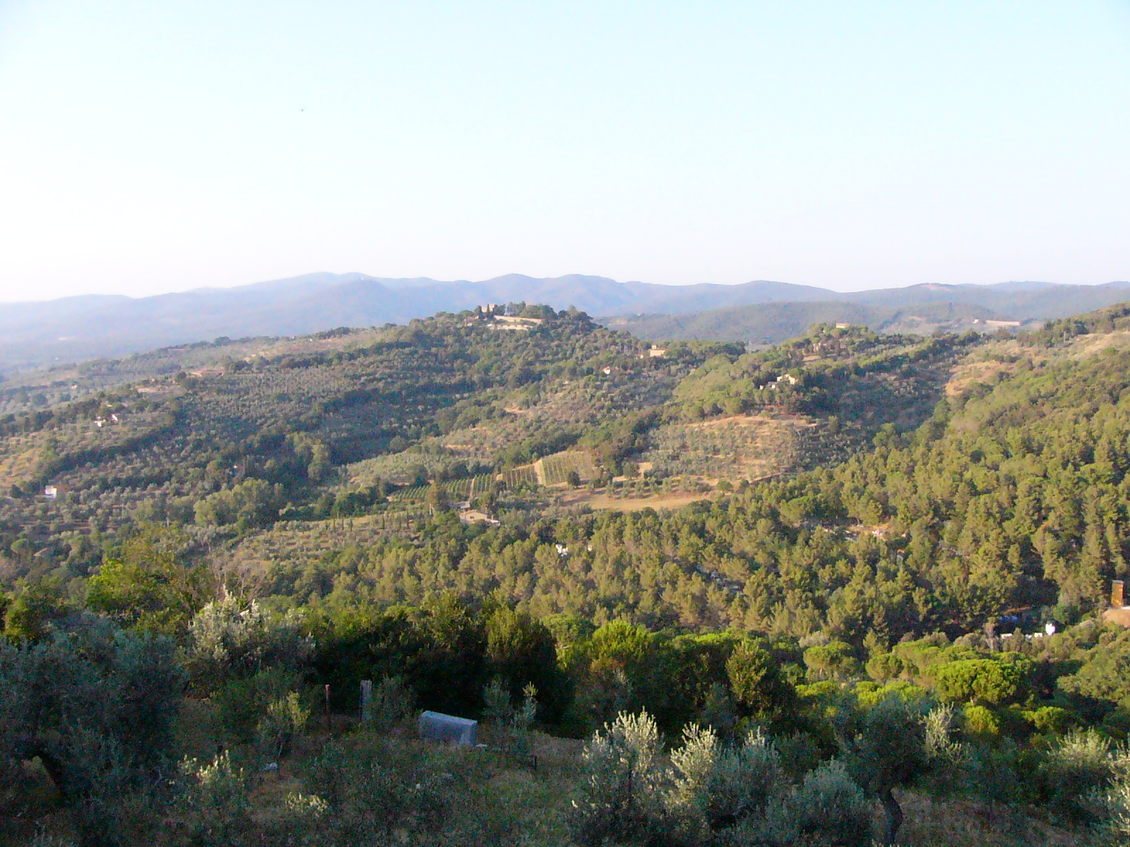 Toscana Carducci