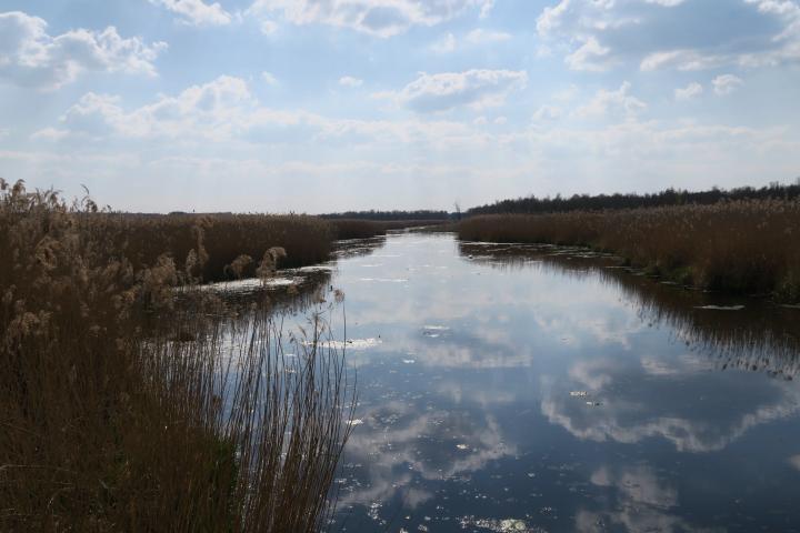 Wasserstraße am Federsee