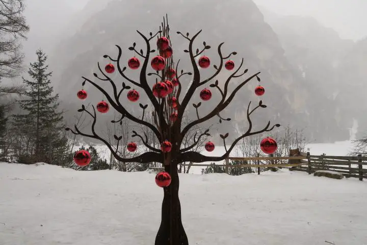 Weihnachtsbaum am Ufer des Pragser Wildsees