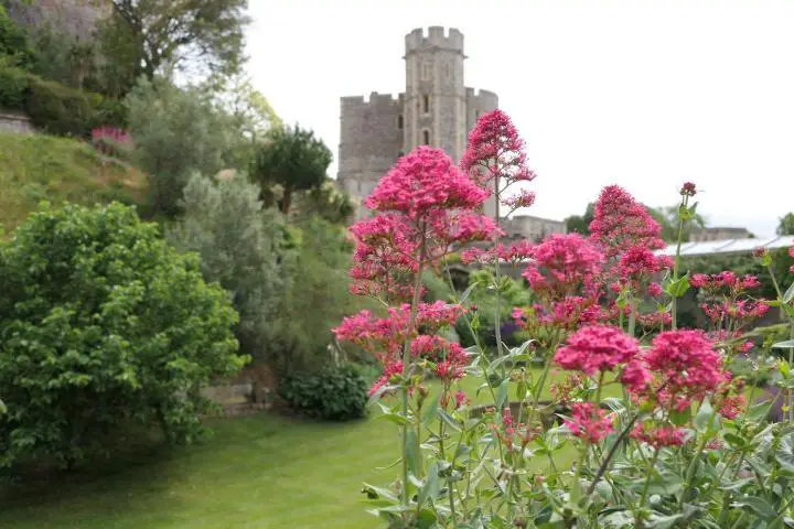 Der Garten von Windsor Castle